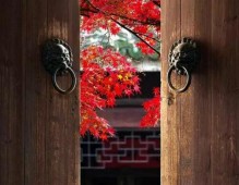 古建院子门窗，秋天最美最浪漫的诗 (7)