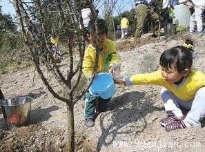播种希望·保护古建” 保国寺博物馆春季植树活动开幕