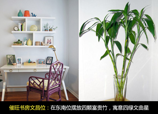 书房风水巧布局 实现新年愿望